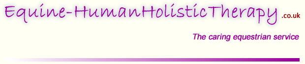 Holistic Therapy for Horses